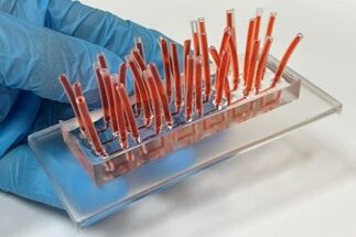 Plataforma microfluídica reversível. Imagem mostra chip durante teste de toxicologia