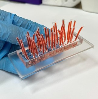 Plataforma microfluídica reversível. Imagem mostra chip durante teste de toxicologia